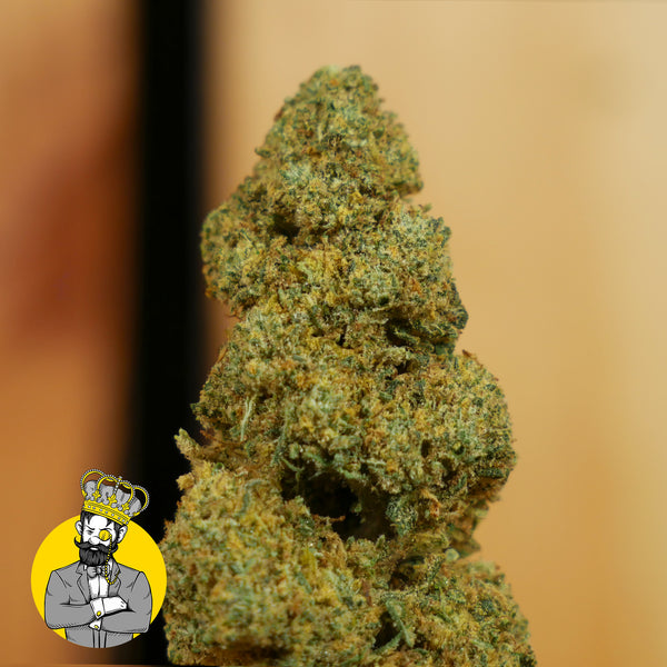 Gelato 41 - CBD - 0,0% THC