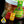 Laden Sie das Bild in den Galerie-Viewer, GreenBaron CBD-Gummibärchen 1000mg