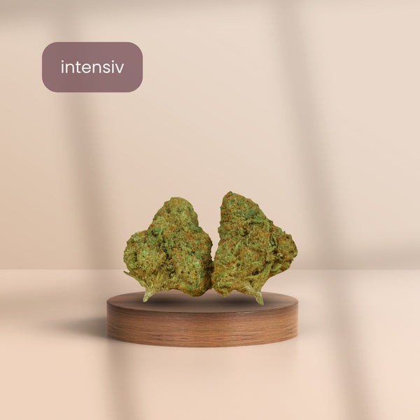 Gelato 41 CBD Blüten auf Holzpodest – intensiver CBD-Gehalt, kompakte Hanfblüten mit süßlich-erdigem Aroma, hochwertig präsentiert für maximale Entspannung.