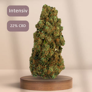 CBD-Blüten „Gorilla Glue“ von GreenBaron – starke Sorte, 0,0 % THC, natürlich getrocknet