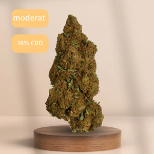Skywalker webm bild CBD-Blüte (18 % CBD) auf Podest, Sorte: Intensiv.