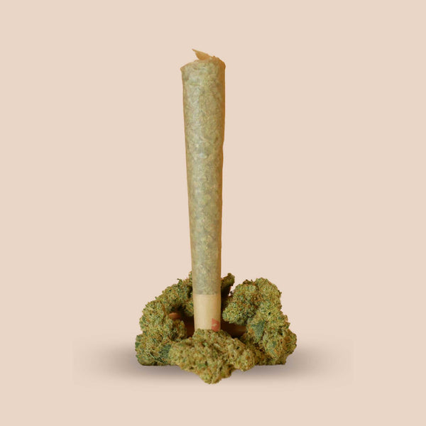 GreenBaron CBD-Joint auf CBD-Blüten – vorgerollter Joint aus Premium-Cannabis mit natürlichem Holz-Hintergrund, ready-to-use Produktfoto