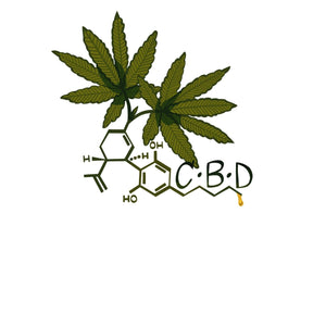 CBD Blüten: Wirkung, Anwendung und Kaufberatung für höchste Qualität