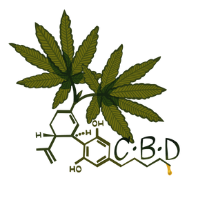 CBD Blüten: Wirkung, Anwendung und Kaufberatung für höchste Qualität