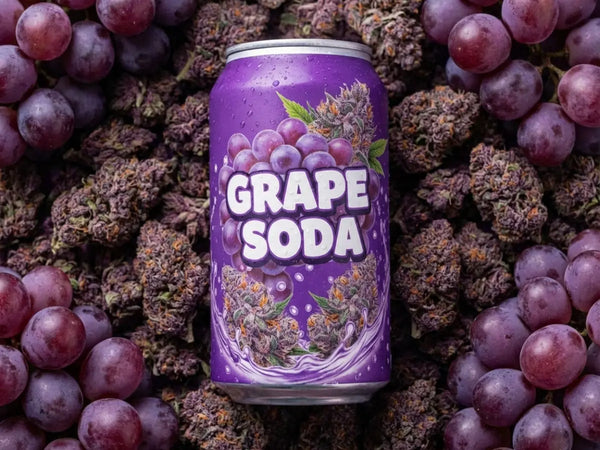 GreenBaron CBDBlüten 0,0% THC