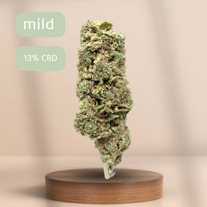 Alien Haze CBD Blüte mit mildem CBD-Gehalt auf Holzpodest vor beigem Hintergrund