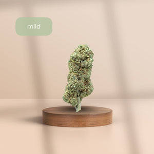 Alien Haze CBD Blüte mit mildem CBD-Gehalt auf Holzpodest vor beigem Hintergrund