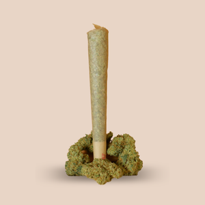 CBD joint Bild