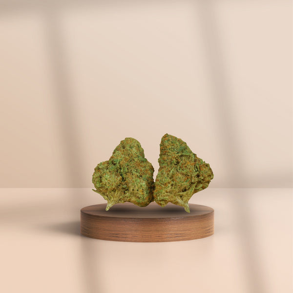 Gelato 41 CBD Blüten auf Holzpodest – intensiver CBD-Gehalt, kompakte Hanfblüten mit süßlich-erdigem Aroma, hochwertig präsentiert für maximale Entspannung.