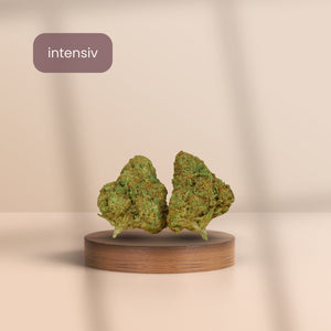 Gelato 41 CBD Blüten auf Holzpodest – intensiver CBD-Gehalt, kompakte Hanfblüten mit süßlich-erdigem Aroma, hochwertig präsentiert für maximale Entspannung.