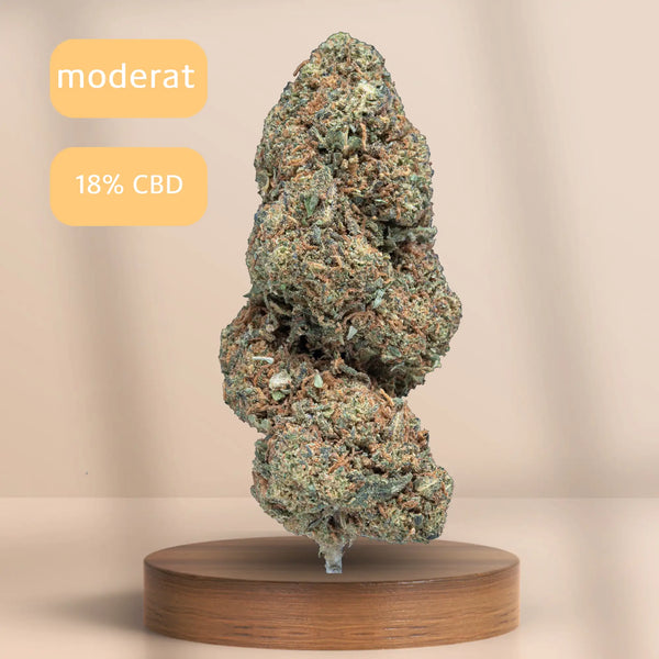 Gelato CBD-Blüte (18 % CBD) auf Podest, Sorte: moderat.