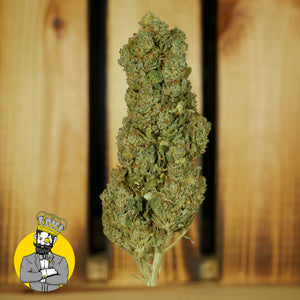 Girl Scout Cookie CBD-Blüte in Nahaufnahme vor Holz-Hintergrund mit GreenBaron-Branding