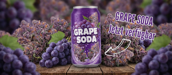 Grape Soda Desktop banner für den cbdblüten online shop