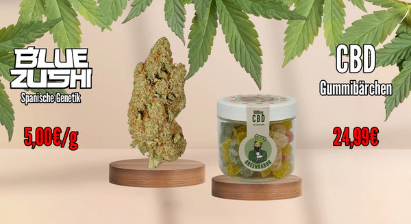 CBD Blüte Blue Zushi und CBD Gummibärchen von GreenBaron – hochwertige CBD Produkte für Entspannung.“