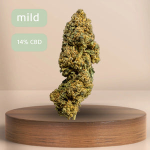 Lemon Haze - CBD - 0.0% THC