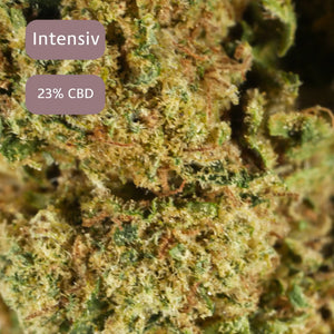 Mandarin Sunset Macro Bild des CBDBlüten Shops