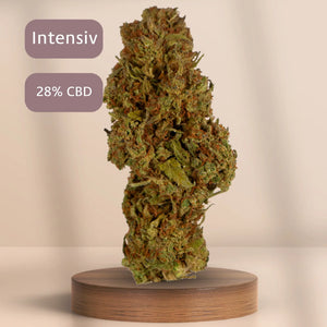 Octane Mint Sorbet Produkt bild des CBDBlüten Shops