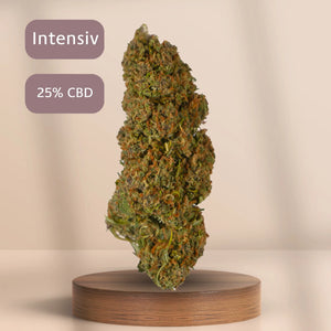 Purple Muffin produkt bild auf einem Podest