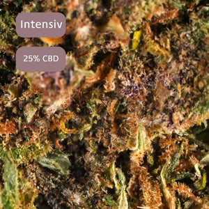 Purple Muffin macro produkt bild auf einem Podest