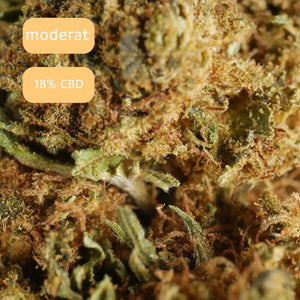 Skywalker CBD-Blüte macro bild (18 % CBD) auf Podest, Sorte: mild.