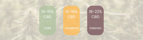 CBD-Stärkeübersicht mit Einteilung in mild (10–15 %), moderat (15–18 %) und intensiv (18–22 %) auf farbigem Hintergrund.