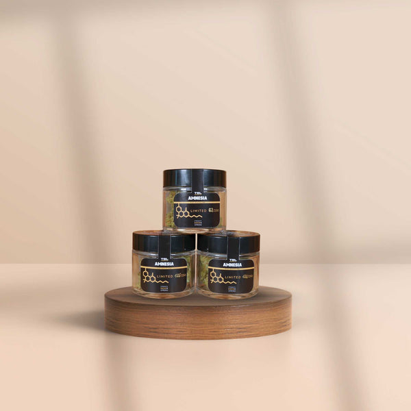 GreenBaron x TBL CBD-Blüten Amnesia – limitierte Edition im Glas mit schwarzem Label, Sorte 30 von 250, High Quality CBD Produkt