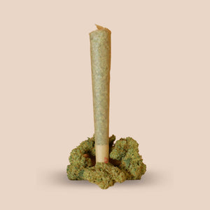 GreenBaron CBD-Joint auf CBD-Blüten – vorgerollter Joint aus Premium-Cannabis mit natürlichem Holz-Hintergrund, ready-to-use Produktfoto