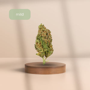 Hochwertige CBD-Blüte Wedding Cake auf Podest – legal & naturbelassen