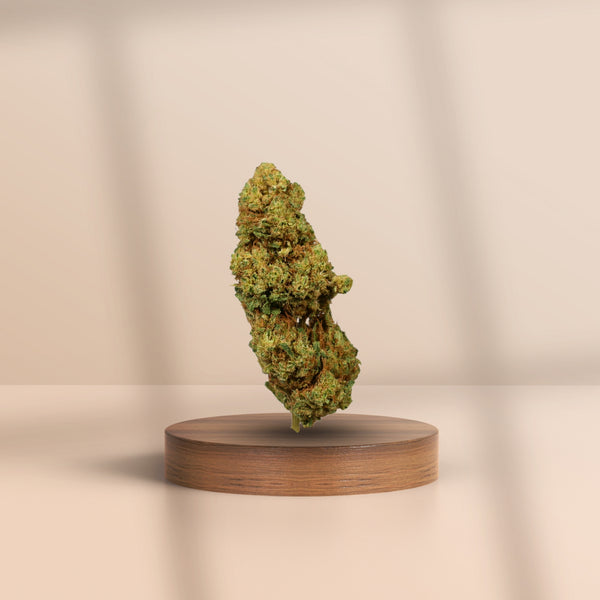 White Widow CBD Blüte auf Holzpodest – mittlerer CBD-Gehalt, aromatisch und ausgewogen, stilvoll vor hellem Hintergrund präsentiert