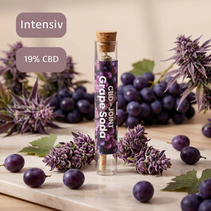 Grape Soda CBD Joint 1,5g - 0,0% THC