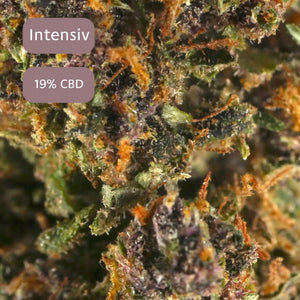 Grape Soda Macro bild 